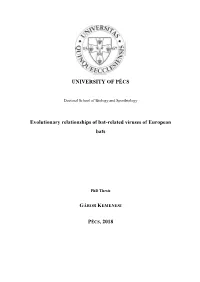 UNIVERSITY of PÉCS Evolutionary Relationships of Bat-Related Viruses