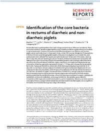 Identification of the Core Bacteria in Rectums of Diarrheic and Non-Diarrheic Piglets
