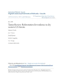 Tamm Review: Reforestation for Resilience in Dry Western U.S. Forests Malcolm P