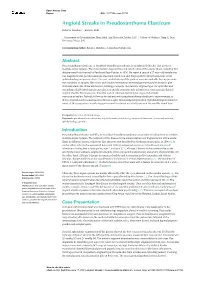 Angioid Streaks in Pseudoxanthoma Elasticum