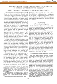 The Isolation of a Unique Sterol from the Mycelium of a Strain of Trichophyton Rubrum* John C