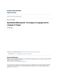 Sprachbilder/Bildersprache: the Imagery of Language and the Language of Images