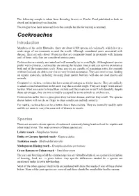 Cockroaches Introduction Members of the Order Blattodea, There Are About 4,500 Species of Cockroach, Which Live in a Wide Range of Environments Around the World