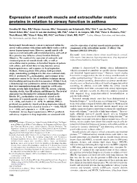 Expression of Smooth Muscle and Extracellular Matrix Proteins in Relation to Airway Function in Asthma