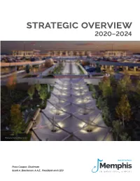 Strategic Overview 2020–2024