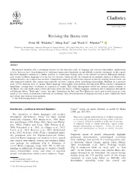 Revising the Bantu Tree