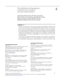 The Cultivation of Kappaphycus and Eucheuma in Tropical 4 and Sub-­Tropical Waters