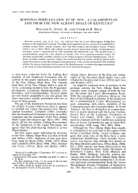 BOSTONIA PERPLEXA GEN. ET SP. NOV., a CALAMOPITYAN AXIS from the NEW ALBANY SHALE of Kentucky1