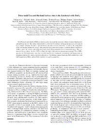 Dirac Nodal Lines and Flat-Band Surface State in The