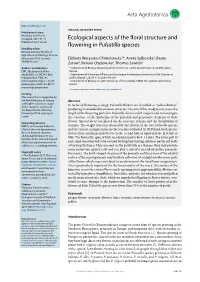 Ecological Aspects of the Floral Structure and Flowering in Pulsatilla