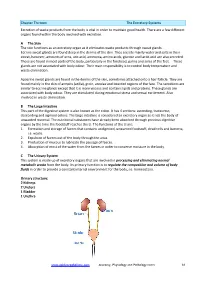 The Urinary System-Notes