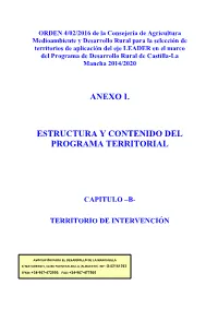 Anexo I. Estructura Y Contenido Del Programa