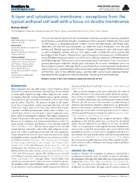 S-Layer and Cytoplasmic Membrane – Exceptions from the Typical Archaeal Cell Wall with a Focus on Double Membranes