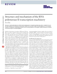 Structure and Mechanism of the RNA Polymerase II Transcription Machinery