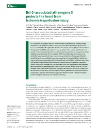 Bcl-2–Associated Athanogene 3 Protects the Heart from Ischemia/Reperfusion Injury