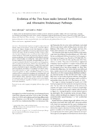 Evolution of the Two Sexes Under Internal Fertilization and Alternative Evolutionary Pathways