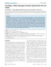 PDF Available Via Open Access