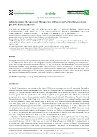Splanchnonema-Like Species in Pleosporales: Introducing Pseudosplanchnonema Gen