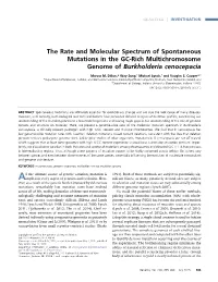 The Rate and Molecular Spectrum of Spontaneous Mutations in the GC-Rich Multichromosome Genome of Burkholderia Cenocepacia