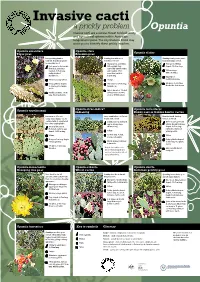 A Prickly Problem Opuntia Invasive Cacti Are a Serious Threat to Biodiversity and Agricultural Systems Within Australian Rangeland Regions