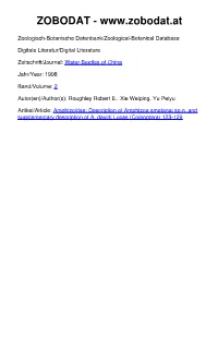 Amphizoidae: Description of Amphizoa Smetanai Sp.N. and Supplementary Description of A