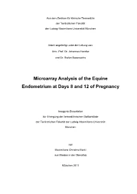 Microarray Analysis of the Equine Endometrium at Days 8 and 12 of Pregnancy