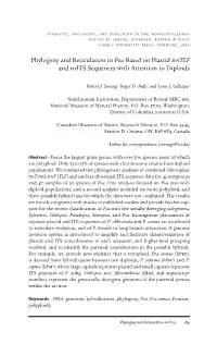 Phylogeny and Reticulation in Poa Based on Plastid Trntlf and Nrits Sequences with Attention to Diploids
