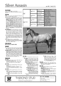 Pedigree, There Is an Uninterrupted Chain of Kin-Breeding Through Dalmary in the Bottom Female Line Ancestors