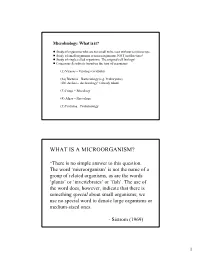 What Is a Microorganism?