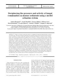 Deciphering the Presence and Activity of Fungal Communities in Marine Sediments Using a Model Estuarine System