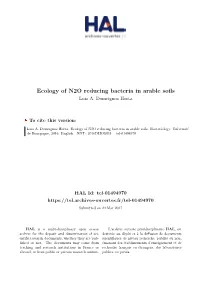 Ecology of N2O Reducing Bacteria in Arable Soils Luiz A