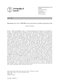 Elucidating the Role of WRNIP1 in the Protection of Stalled Replication Forks