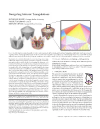Navigating Intrinsic Triangulations