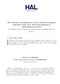 The Structure and Kinematics of the Southeastern Zagros Fold-Thrust Belt, Iran : from Thin-Skinned to Thick-Skinned Tectonics M