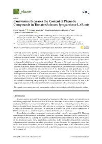 Canavanine Increases the Content of Phenolic Compounds in Tomato (Solanum Lycopersicum L.) Roots