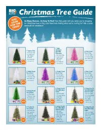 Christmas Tree Guide
