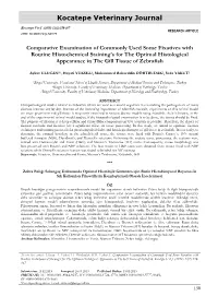 Comparative Examination of Commonly Used Some Fixatives with Routine Histochemical Staining’S for the Optimal Histological Appearance in the Gill Tissue of Zebrafish