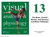 The Brain, Cranial Nerves, and Sensory and Motor Pathways