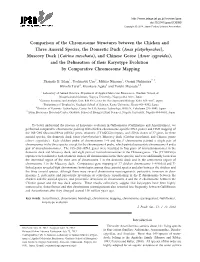 Comparison of the Chromosome Structures Between the Chicken