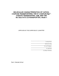 Dissertation(041003-Final)