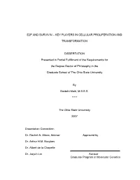 E2f and Survivin – Key Players in Cellular Proliferation And