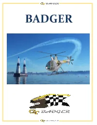 Final Report (Badger-21012).Pdf