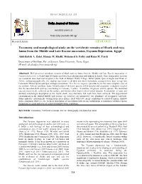 GEOLOGY Taxonomy and Morphological Study on The