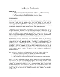 Lab Exercise: Transformation
