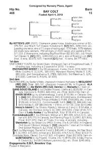 BAY COLT Barn 15 Hip No