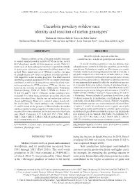 Cucurbits Powdery Mildew Race Identity and Reaction of Melon Genotypes1