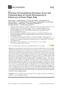 Detection of Oxazolidinone Resistance Genes and Characterization of Genetic Environments in Enterococci of Swine Origin, Italy