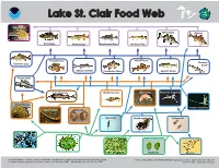 Lake St. Clair Food Web MENT of C