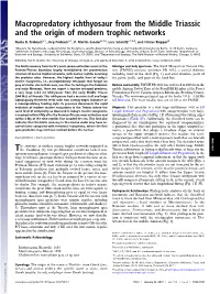 Macropredatory Ichthyosaur from the Middle Triassic and the Origin of Modern Trophic Networks