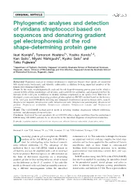 Phylogenetic Analyses and Detection of Viridans Streptococci Based On